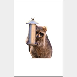 Raccoon Smiling Kawaii Posters and Art